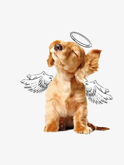 {artigo_imagem_titulo}