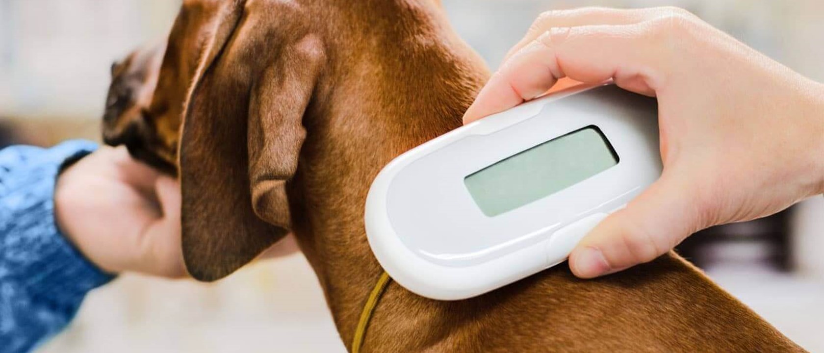 {artigo_imagem_titulo}