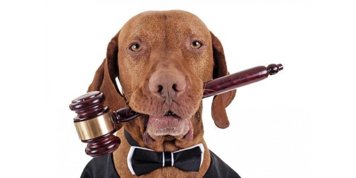 {artigo_imagem_titulo}